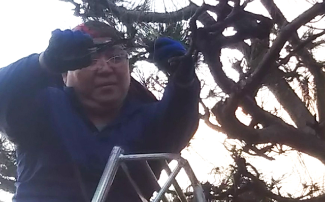 OKI造園 合同会社OKI画像1