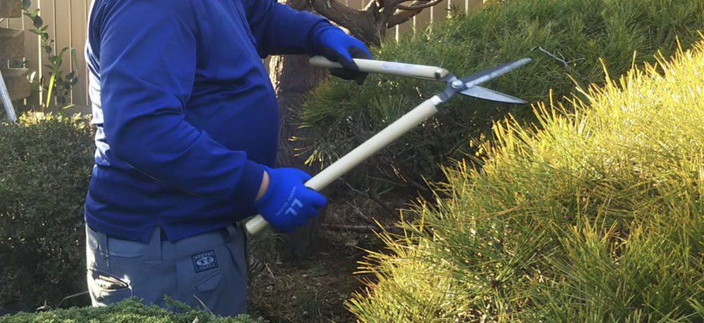 OKI造園 合同会社OKI